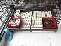 2024年，坐标成都，高颜值夫妻【鹿头LuTo-夫妻】白富美少奶奶喜欢换妻，皮肤白腰细还是个馒头逼，绝品必看