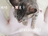 Ngược lại, cô gái Loli "Little Rabbit Juice" lộ rõ con hổ trắng dịu dàng và sạch sẽ của mình. Cô gái dễ thương và ngoan ngoãn có một sự tương phản siêu phàm bên dưới vẻ ngoài thuần khiết và xinh đẹp của mình.