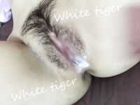 Đăng ký Twitter để biết con chó cái thuần khiết và đỉnh cao [whitetiger_YL], kẻ vạch trần đạo cụ để tập luyện, quan hệ tình dục, 3P, kem và uống nước thánh theo nhiều cách khác nhau