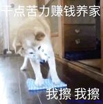 推特網紅九頭身極品女神【Eve_S8899】超強精液收集器，多男多女群P聖水調教玩出高端