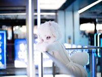 A little loli who likes to be spanked by her father. One hundred spanks = a red, swollen and shiny clean butt. As soon as she kneels down, she knows that her butt crack will be spanked.