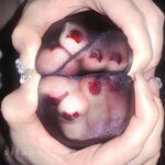 高端极品超级女神推特【姨】520VIP福利