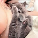 高端极品超级女神推特【姨】520VIP福利