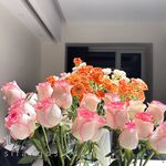 高端极品超级女神推特【姨】520VIP福利