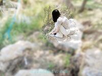 Haijiao "Abang-Adik Sumbang Mahram" [Kakak Kembar Saya] Adik kembar itu merogol adik kandungnya sekali lagi pada tahun 2002 semasa dia membuat kerja rumah, hanya untuk menyedari bahawa ibunya berada di rumah separuh jalan.