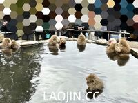 2024年，海角大神【意淫自己妹妹】54帖亂倫合集，泳池玩耍，各種姿勢變態，把玩妹妹內射爽歪歪