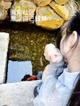 2024年，海角大神【意淫自己妹妹】54帖亂倫合集，泳池玩耍，各種姿勢變態，把玩妹妹內射爽歪歪