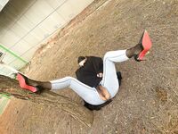 최고의 훅업 마스터 '서울빅병기'는 당당한 유부녀, 우아한 아가씨, 순수한 여고생, 섹시한 젊은 모델, 대조적인 색녀들, 그녀를 감당할 수 없는 여신이지만 그녀는 정자 분지이다. 다른 사람들 앞에서 ③