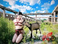 顶级调教大神『东北原创』极致反差婊在别人眼里是清纯舞蹈生在这只配做下贱母狗骚逼塞丝袜撒尿白丝一字马滴蜡