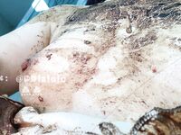 最新9月猎奇！萝莉风天花板级别，走重口味路线网红【点点】推特福利①，道具紫薇，玩屎虐菊虐肛，不忍直视