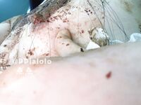 最新9月猎奇！萝莉风天花板级别，走重口味路线网红【点点】推特福利②，道具紫薇，玩屎虐菊虐肛，不忍直视