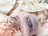 最新9月猎奇！萝莉风天花板级别，走重口味路线网红【点点】推特福利③，道具紫薇，玩屎虐菊虐肛，不忍直视