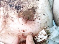 最新9月猎奇！萝莉风天花板级别，走重口味路线网红【点点】推特福利③，道具紫薇，玩屎虐菊虐肛，不忍直视