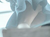 Sakurai Nene NO.038 Brother's Birthday "The Prank of the Beast" Brother and Sister Chapter