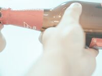 Sakurai Nene NO.038 Brother's Birthday "The Prank of the Beast" Brother and Sister Chapter