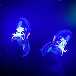 最新10月无水印精品！推特爱健身的翘臀大妞，D奶女神【子柒学姐ifluval】福利，毒龙啪啪像母狗一样被调教