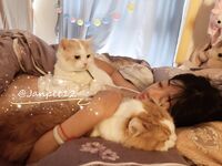 Kongsi langganan Oktober terkini tanpa tera air! Gadis lucah paling berkuasa menunjukkan wajahnya di Twitter, seorang gadis mencabar ramai lelaki, jalang terbaik [Jan Little Rabbit] paparan foto peribadi