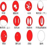 Langganan Oktober terkini tanpa tera air! Faedah terbaharu dewi Twitter yang tulen, manis dan berdada besar [Miyamotoyama Sake], menguli awek, alat peraga seperti bunga myrtle crape dengan hati yang lembut dan sifat-sifat jalang penuh