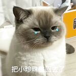 Langganan Oktober terkini tanpa tera air! Faedah terbaharu dewi Twitter yang tulen, manis dan berdada besar [Miyamotoyama Sake], menguli awek, alat peraga seperti bunga myrtle crape dengan hati yang lembut dan sifat-sifat jalang penuh