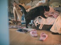 刚毛萝莉COSER【神沢永莉】大尺度图-别当欧尼酱啦