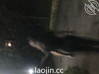 海角大神合集【我和亲姐姐的性福生活】乱伦记录，黑丝老姐太敏感了，受不了我的大牛子，绝了！颜值貌似也不错