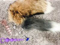 最新10月无水印福利，S级身材，大奶外围女【JB_Diary】推特订阅，有人的泄欲玩物，露出群P盛宴