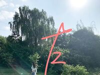 ปรมาจารย์ฝึกวงกลมตัวอักษร "Lao Zuo S" ฝึกเด็กผู้หญิงหลายคนให้ถูกกักขัง เผยให้เห็นพวกเธอในป่าอย่างสมบูรณ์ และพ่นน้ำในป่า