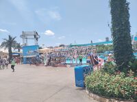 最新10月无水首发！魔都绿帽调教博主【大鸟哥的母狗】推特福利，极品淫妻，可乐灌肠肛门内射叠罗汉3P黑人群P