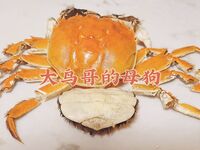 最新10月无水首发！魔都绿帽调教博主【大鸟哥的母狗】推特福利，极品淫妻，可乐灌肠肛门内射叠罗汉3P黑人群P