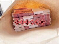 最新10月无水首发！魔都绿帽调教博主【大鸟哥的母狗】推特福利，极品淫妻，可乐灌肠肛门内射叠罗汉3P黑人群P