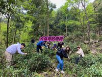 最新10月无水首发！魔都绿帽调教博主【大鸟哥的母狗】推特福利，极品淫妻，可乐灌肠肛门内射叠罗汉3P黑人群P