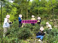 最新10月无水首发！魔都绿帽调教博主【大鸟哥的母狗】推特福利，极品淫妻，可乐灌肠肛门内射叠罗汉3P黑人群P