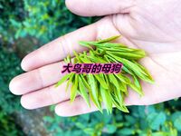 最新10月无水首发！魔都绿帽调教博主【大鸟哥的母狗】推特福利，极品淫妻，可乐灌肠肛门内射叠罗汉3P黑人群P