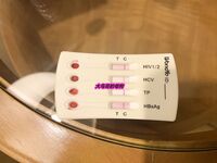 最新10月无水首发！魔都绿帽调教博主【大鸟哥的母狗】推特福利，极品淫妻，可乐灌肠肛门内射叠罗汉3P黑人群P