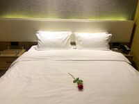 最新10月无水首发！魔都绿帽调教博主【大鸟哥的母狗】推特福利，极品淫妻，可乐灌肠肛门内射叠罗汉3P黑人群P