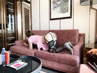 Mengkhususkan diri dalam gaya yang terbaik [Gaya Bising] Yang menarik dengan kontras badan yang terbaik digunakan sebagai kondom ayam oleh ayah ayam besar, dan jalang digunakan sebagai tandas untuk bar ayam besar.