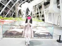 清纯母狗小萝莉【冰凌紫萱】JK小萝莉竟被黑鬼爆操？直呼暴殄天物！清纯小萝莉3P被大黑屌抱起来操