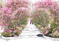 清纯母狗小萝莉【冰凌紫萱】JK小萝莉竟被黑鬼爆操？直呼暴殄天物！清纯小萝莉3P被大黑屌抱起来操