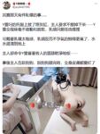 【Y醬醬醬】清純反差蘿莉，可愛人形母狗，徹底母犬化，露出，奶頭穿刺，灌腸，戶外放尿
