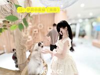 케이프 갓의 트윈 포니테일, 핑크색과 부드러운 백호@LOLI작은사촌