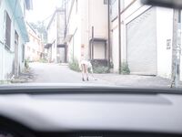 高质量写真系列@Photochips Vol.101 Aram No.6