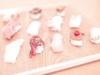 高質量寫真系列@Photochips Vol.113 Aram No.07 