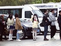 Ekor kuda ganda harimau putih merah jambu @小粉馕头 pandangan menembak peribadi skala