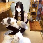 Ekor kuda ganda harimau putih merah jambu @小粉馕头 pandangan menembak peribadi skala