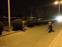 露出系少婦@zlovethree 尺度私拍