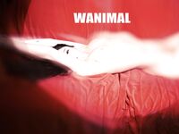 Ji Kebajikan Harimau Putih yang tampan @三上鱼亚