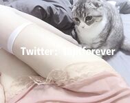 Seluruh rangkaian telah menyusun koleksi besar 87 koleksi koleksi super lolita terkemuka keluaran kedua [Twitter][Lolita] [18jkforever@j18jkforever] [Log keluar]