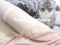 Seluruh rangkaian telah menyusun koleksi besar 87 koleksi koleksi super lolita terkemuka keluaran kedua [Twitter][Lolita] [18jkforever@j18jkforever] [Log keluar]