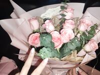 全網整理超大自整理合集87位極品蘿莉 超絕收藏合集 第二期 [Twitter][蘿莉] [⁵⁵⁵小埋長不高ˡᵃ@Xiaomai522]