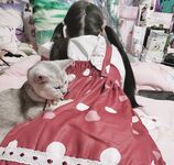 全網整理超大自整理合集87位極品蘿莉 超絕收藏合集 第二期 [Twitter][蘿莉] [⁵⁵⁵小埋長不高ˡᵃ@Xiaomai522]